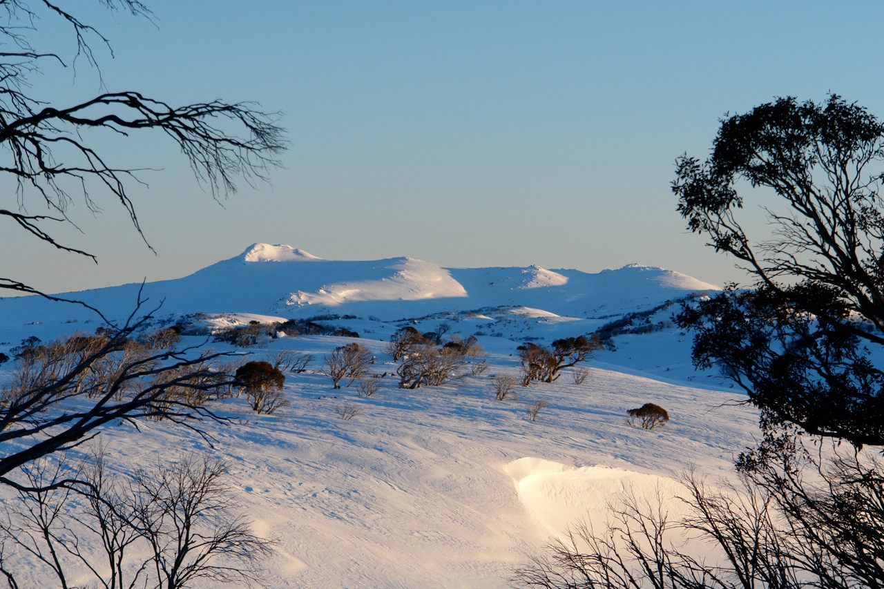 They never shot at the Snowy Mountains